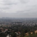 그리피스모텔 이미지