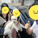 J카마스터 이미지