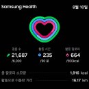 마임대전원내사랑지사