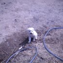 바람아래팜스테이 이미지