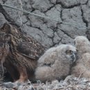 원주시청 이미지