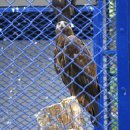 달성공원 이미지