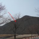 무주읍147 네이버블로그