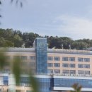 대구메리어트호텔 '인피니티풀' 네이버블로그