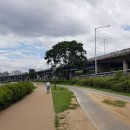 남지고가교 이미지