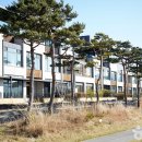 메이플비치 골프&리조트 티스토리