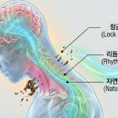 365리셋의원 이미지