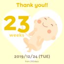 하단포비 이미지