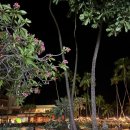 레인보우타워 이미지