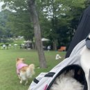 바닐라브릭 이미지