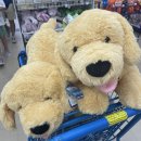 왕왕멍멍 이미지