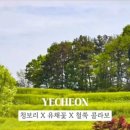 가고픈청보리 이미지