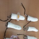 나포초등학교 이미지