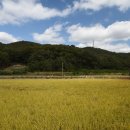 비내길 1구간 이미지