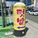 [순천 | 조례동] 순천여행 필수코스 닭구이 찐맛집 텃밭 🍗