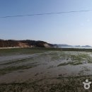 접도로 Daum카페