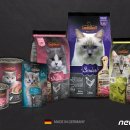 레오나르도 이미지