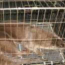 수달 화장실 이미지