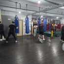 충의복싱체육관 이미지