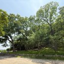 1-22호공원 이미지