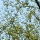 위드치과보철과의원 이미지