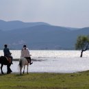 맛터식당 이미지