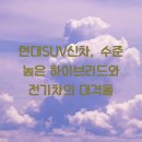 신차처럼 이미지