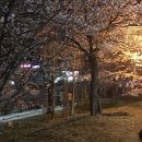 윤하우스 포차 이미지