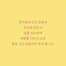 동네책방코이노니아 이미지