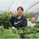 우리태권도스쿨 이미지