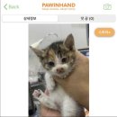 짱구네동물병원 이미지