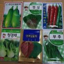 정일슈퍼 이미지