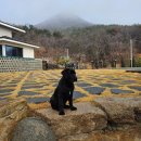 시밀레스테이 이미지