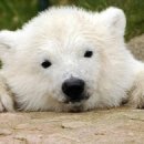 대림광고 이미지