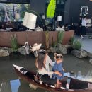 통삼로 | 용인 아이랑 이색 베이커리 대형카페 아리랑도원 주말 방문 내돈내산 후기