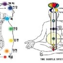 차크라를 통한 색채명상 이미지