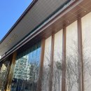 김포 크리스마스 대형카페 &#39;포지티브 스페이스 566&#39; 기네스북 등재 내돈내산