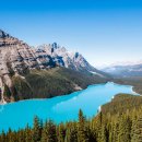 청춘목욕탕 이미지