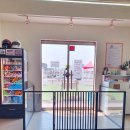 썸바디 독스 이미지