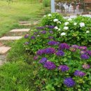 볼소리 펜션 이미지