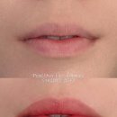 팽브로우 이미지