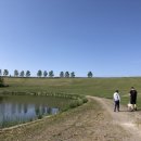 개랑나랑 이미지