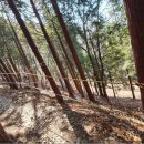 구봉산 둘레길 이미지