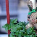 사진을 찍다 이미지