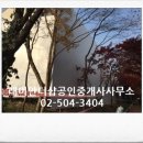 중앙동134 이미지