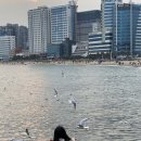 호텔 센트럴베이 이미지