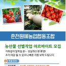 춘천원예농협 산지유통센터 이미지