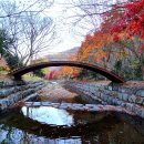 유치자연휴양림 이미지