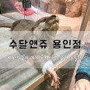 동수원동물종합병원(권선점) | [동탄 용인] 아이랑 같이 가기 좋은 신상 실내 동물원! 수달앤쥬 용인점