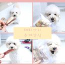 해피아지 이미지